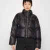 MICHAEL Michael Kors CROPD SOLID ECO - Daunenjacke - BLACK -Michael Kors Geschaft 84f1d7b2030d44bead64ed31950d61a4